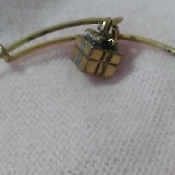 Alex and Ani Present Charm bracelet - Picture 5 of 6